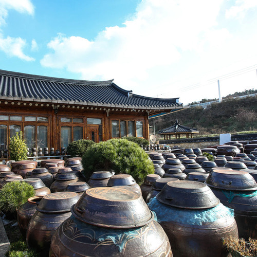 순창 매실장아찌 고추장 500g 이조 - 상세 이미지 4