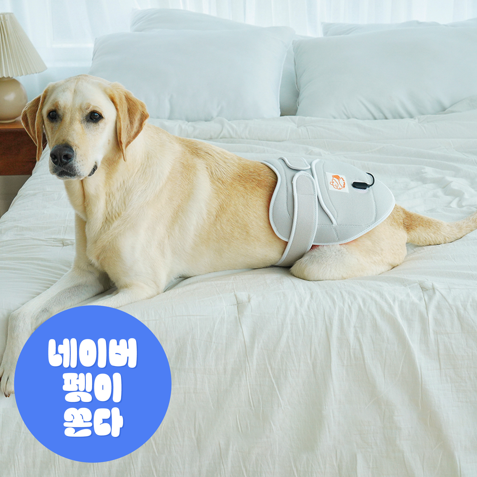 시리어스펫 슬개골 따땃패드 강아지 고양이 디스크 근적외선 온열 찜질 조사기