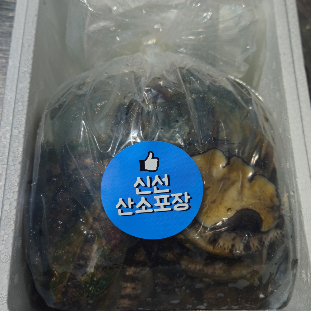 완도 직송 활 전복 횟감용 당일채취 신선전복 1kg - 상세 이미지 4