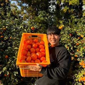 유통하맨x파머들 제주 레드향 꼬마 대과 제수용 1kg 3kg 5kg 10... 맛있게 먹은 솔직 후기 - 상품 이미지 1