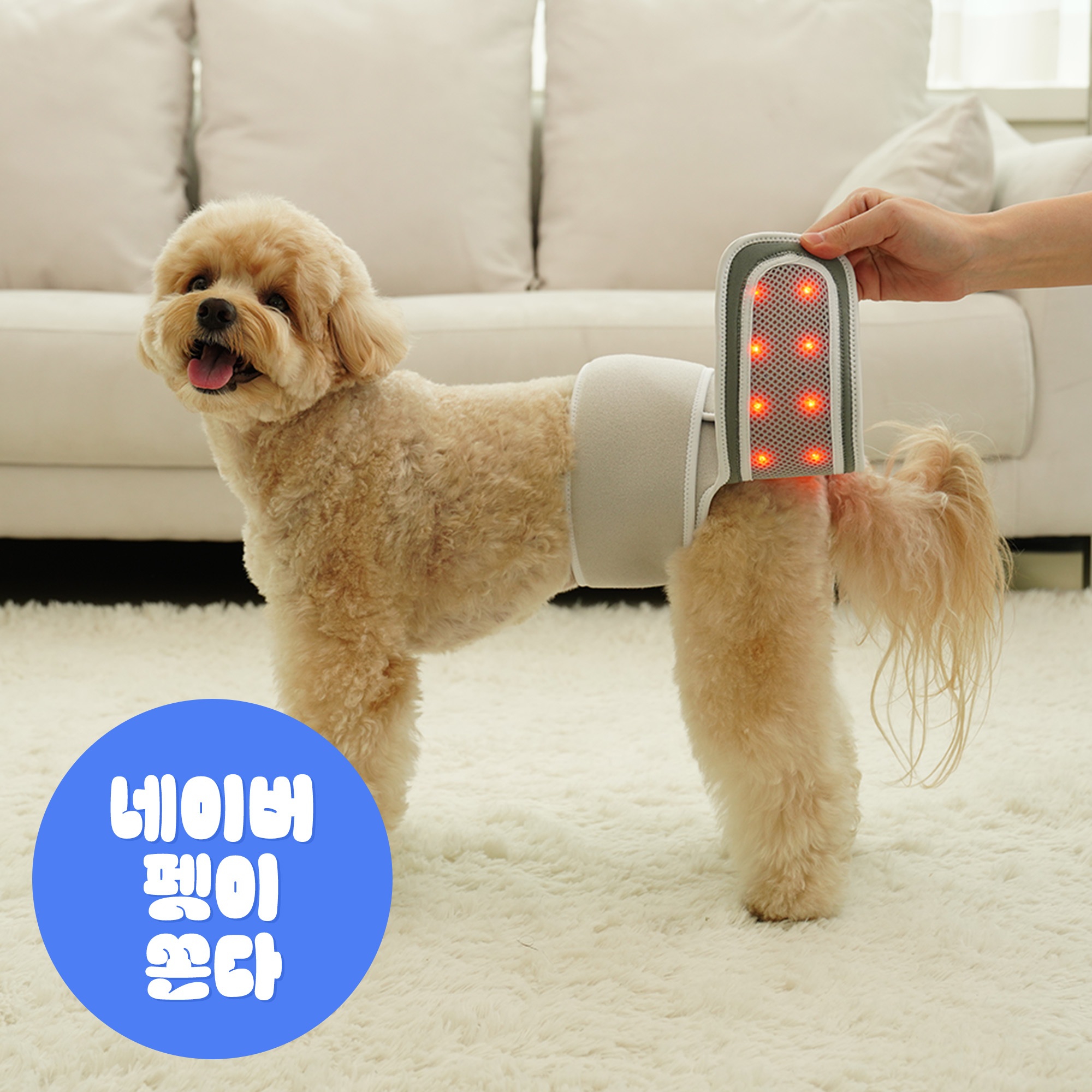 시리어스펫 슬개골 따땃망토 프로 강아지 슬개골 고관절 탈구 근적외선 온열 찜질 조사기