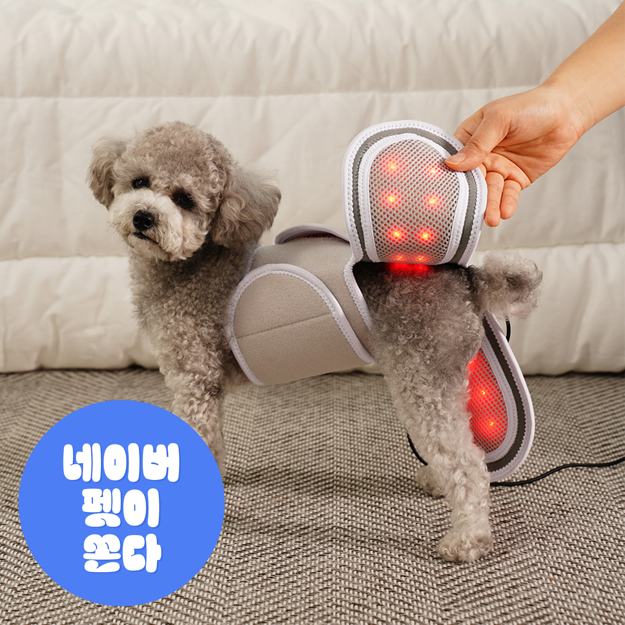시리어스펫 슬개골 따땃망토 강아지 슬개골 고관절 탈구 근적외선 온열 찜질 조사기