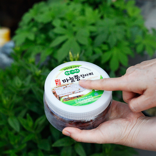 국산 고추장 마늘쫑장아찌 1kg 순창 태광 이미지 8