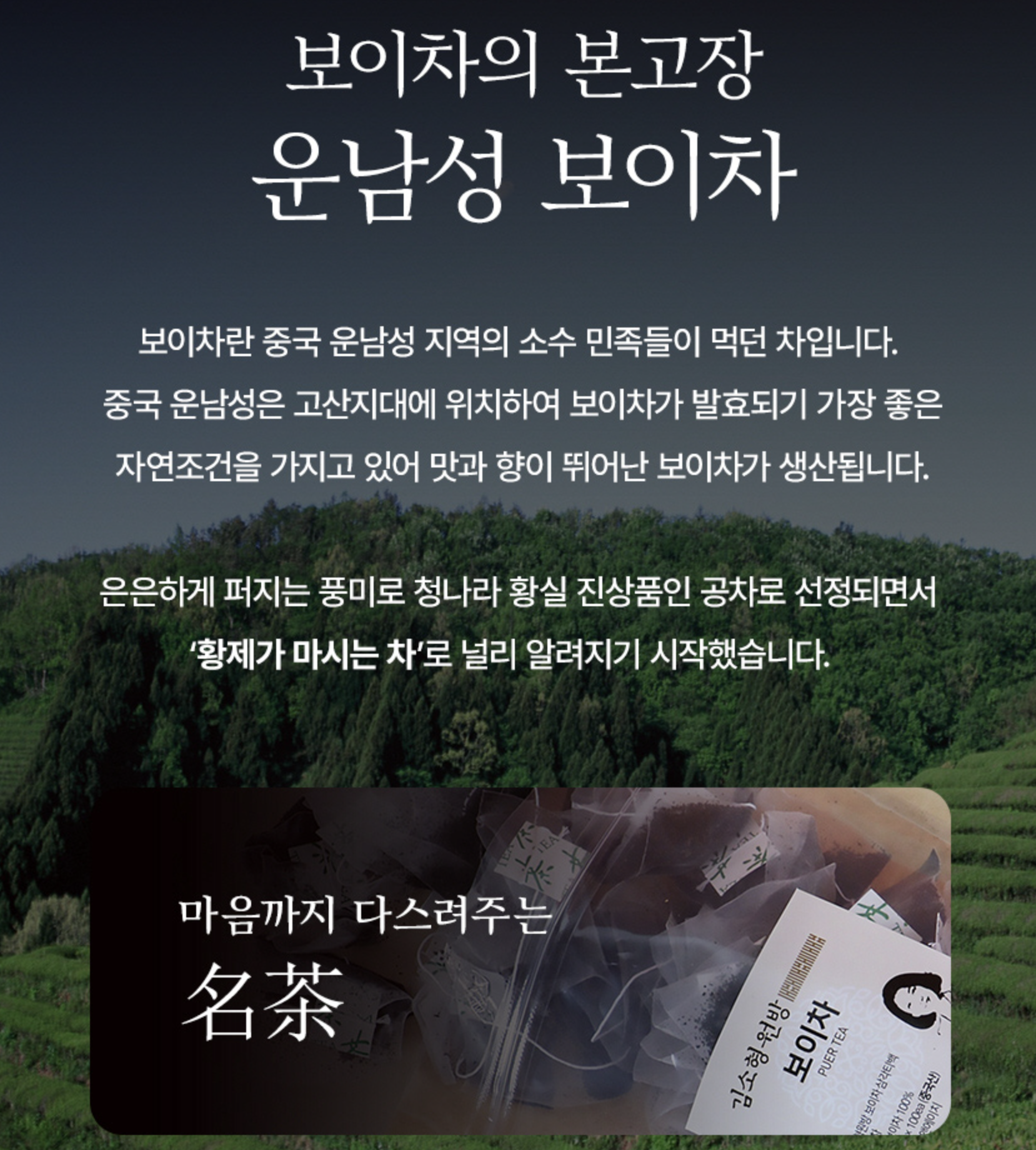 명품보이차 낱개포장 운남성보이차티백 흑차 - 상세 이미지 5