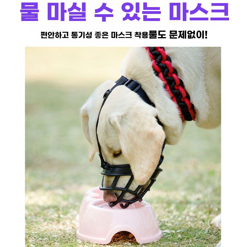 반려견 입마개 물림 방지 훈련용 입 가리개 용품 - 상세 이미지 5