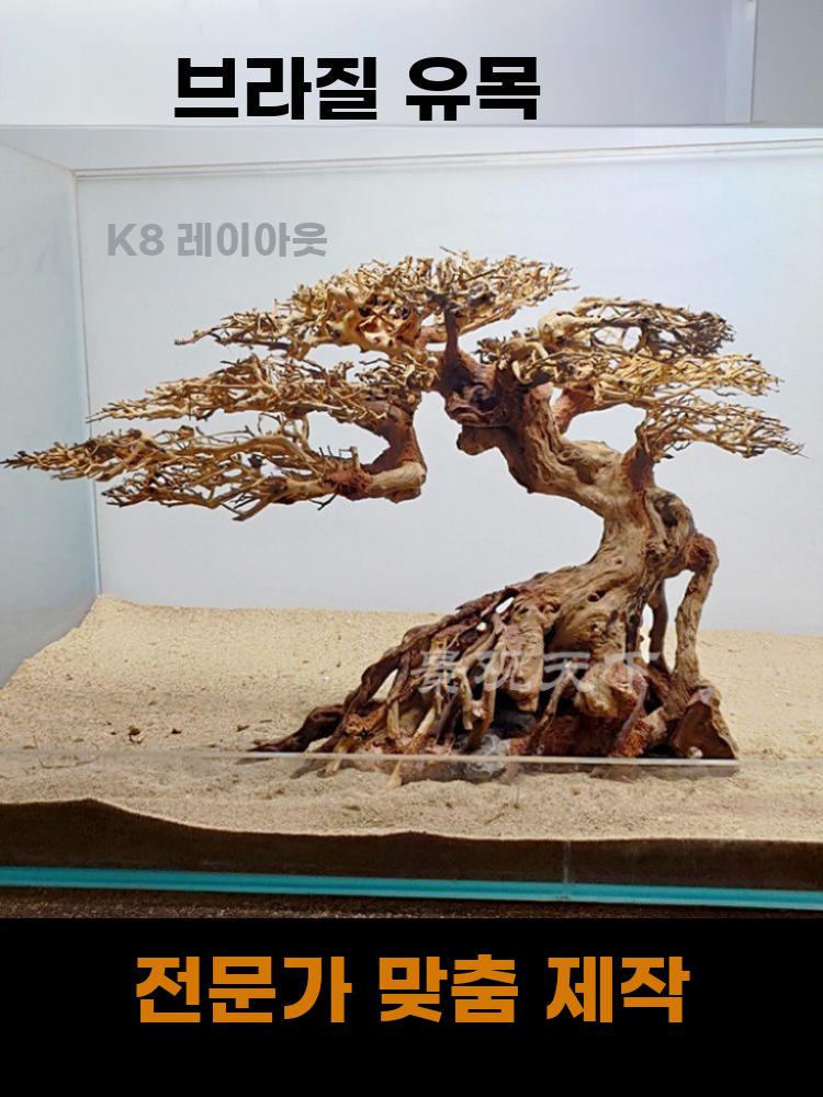 초보자용 침목 수초어항 모스나무 조경 DIY 소품 - 상세 이미지 2
