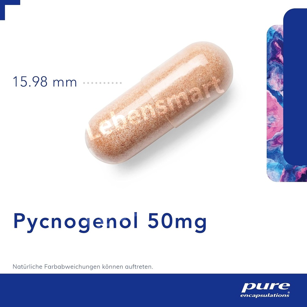 퓨어 피크노제놀 소나무추출물 50mg 60캡슐 - 상세 이미지 2