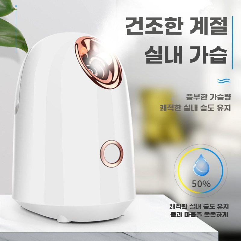 나노 미스트 스팀 페이셜 스티머 냉온 스프레이 보습기 - 상세 이미지 3