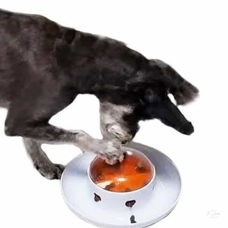 THEJINJEONG 온지니 펫트너스 UFO2 노우즈워크 분리불안 간식매트 놀이기구 강아지분리불안해결