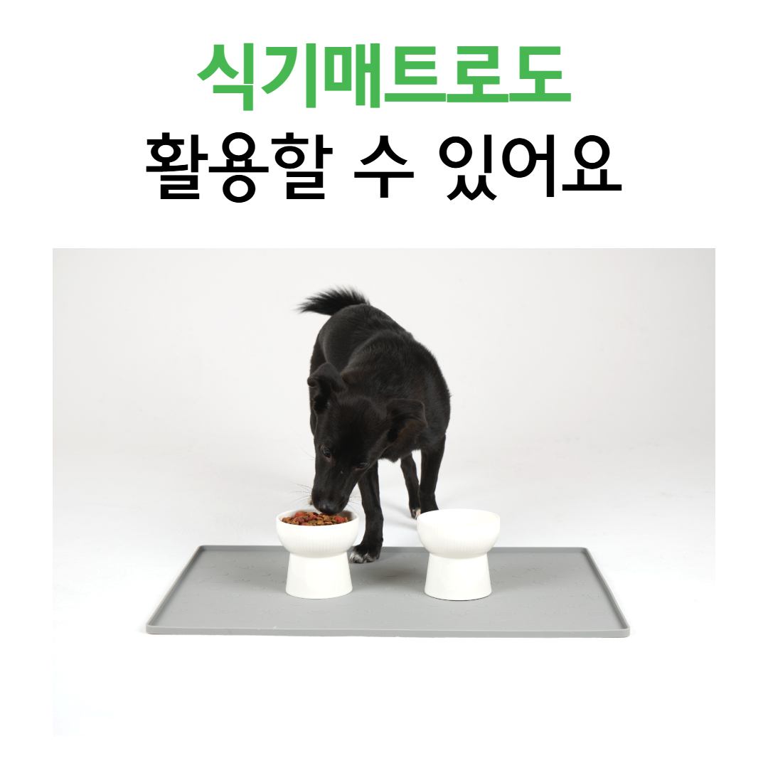 [별점 4.83] 핸독 강아지배변판 애견 실리콘 배변매트 화장실 패드판 중형 이미지 2
