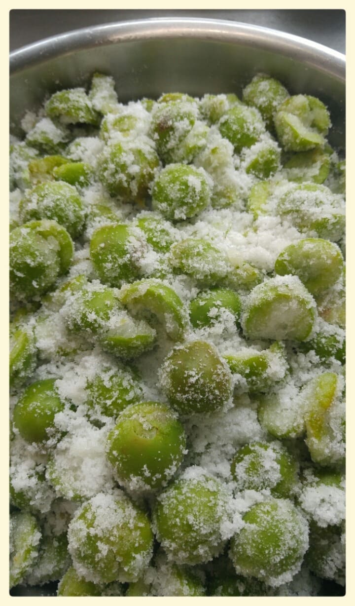 하동 매실 국내산 매실장아찌 1kg / 아삭한 식감 / 밥 반찬 / 고기 궁합 이미지 8