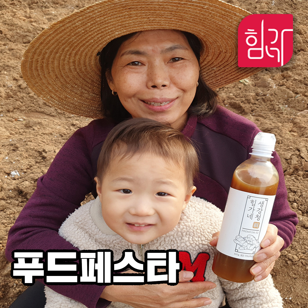 힘가네 생강청 생강차 수제 600g