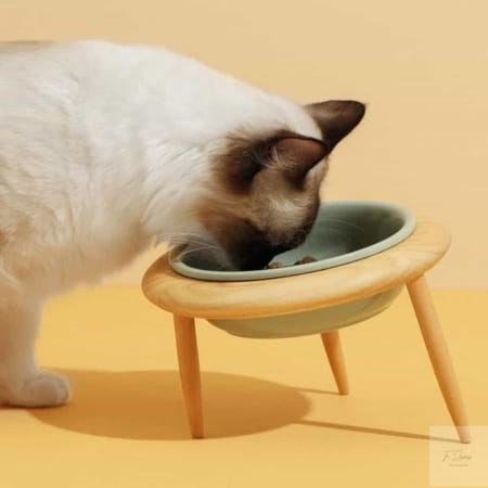 THEJINJEONG 온지니 펫트너스 UFO 식기 고양이식탁 강아지도자기식기