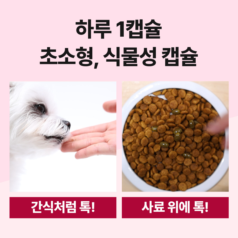 닥터바이 리버스에이징 강아지 항산화제 항산화 노견 영양제 노화 방지 120캡슐, 1개 이미지 4