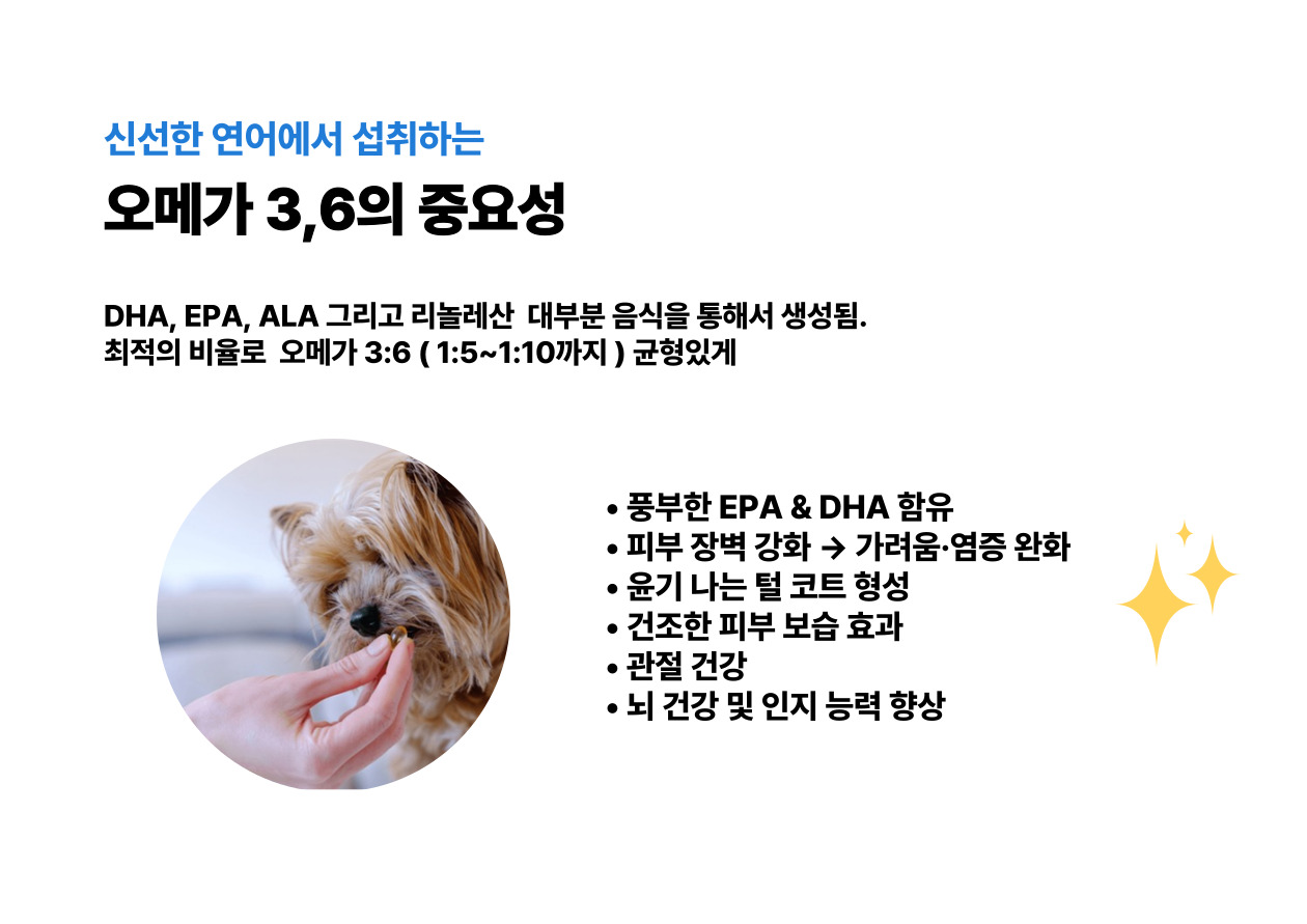 델리쿡 오메가플러스 연어가수분해 알러지케어 면역눈관절피모치아보호 저열량 연어, 1kg, 2개 - 상세 이미지 3