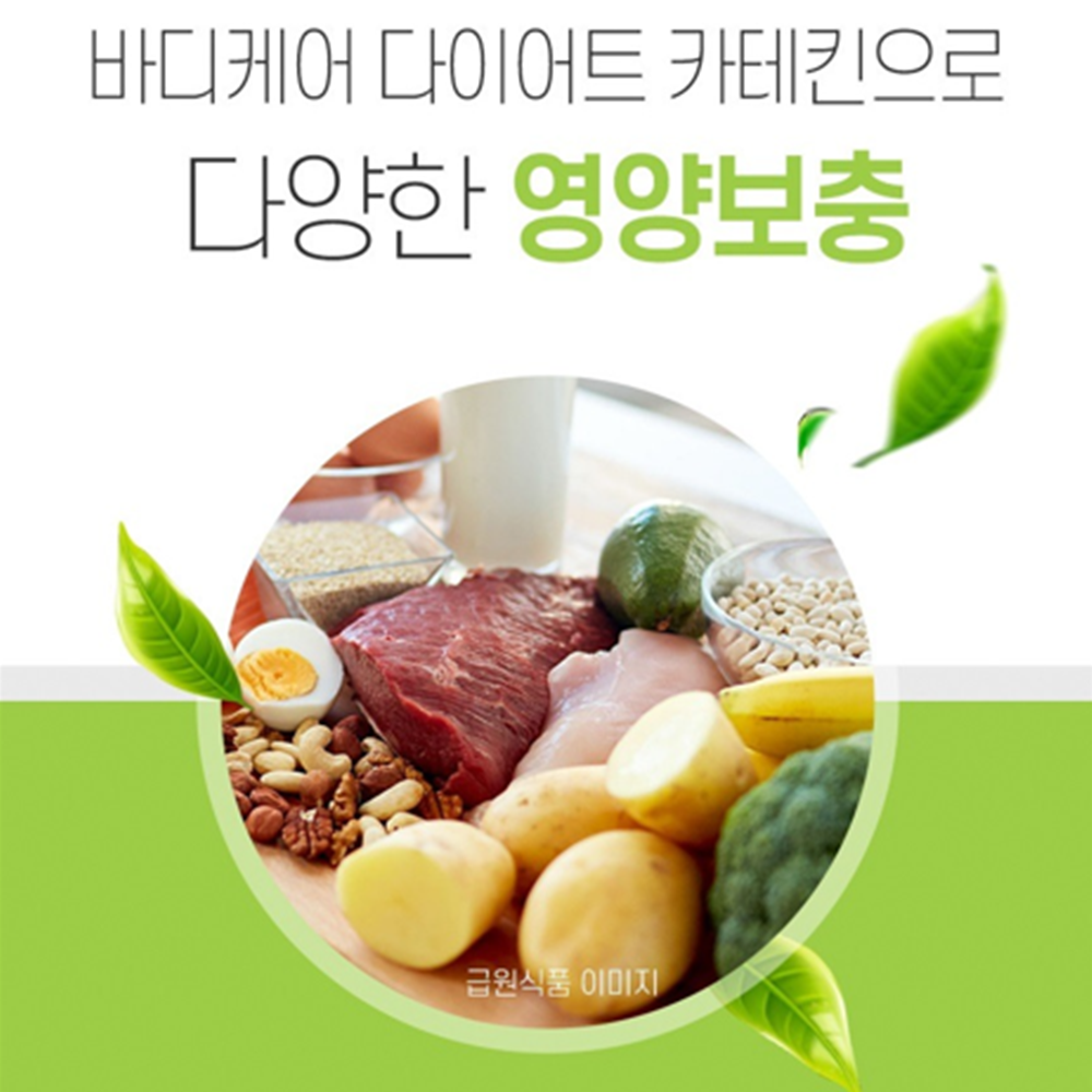 로니웰 슬림 바디케어 다이어트 녹차 카테킨 체지방 콜레스테롤 복부 지방 60정, 1개 - 상세 이미지 5
