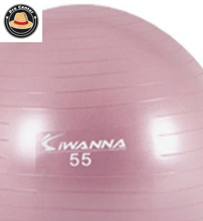 박프로센터 아이워너 짐볼 55cm 와일드 핑크 운동 에어펌프 안티버스트짐볼 더스티