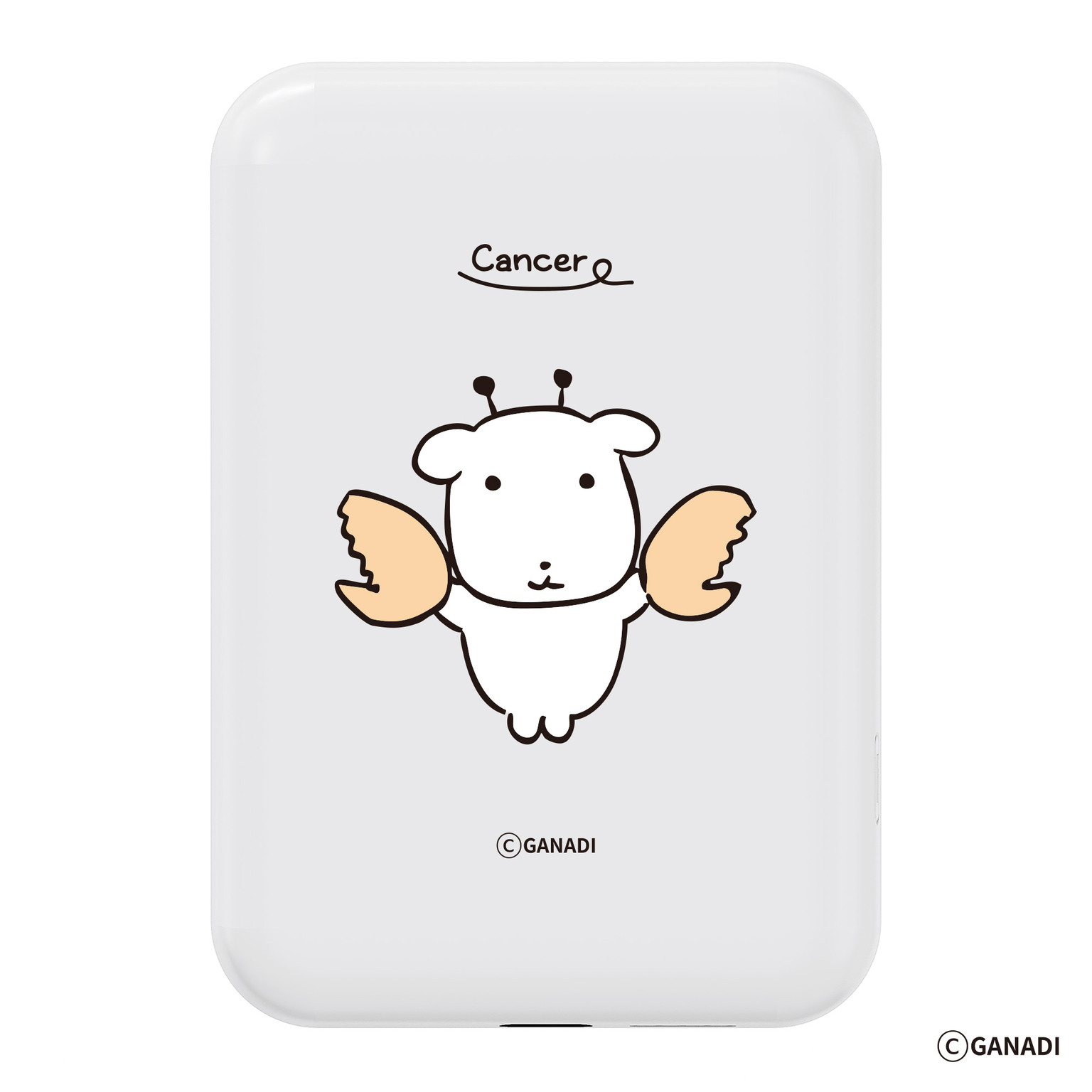 별자리 가나디 보조배터리 5000mAh 맥세이프 고속 무선 충전 처녀자리 굿즈 이미지 7