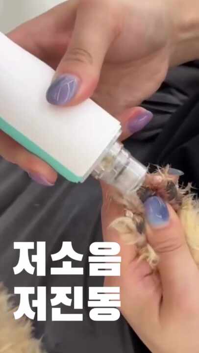 [ 민트 터보 그라인더 ] 발톱관리 충전식 전문가용 강아지 고양이 발톱갈이 애견용품 아키즈