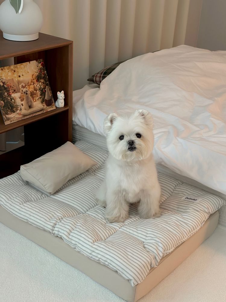 도도로 강아지 침대 애견 고양이 매트 베드 쇼파 사계절