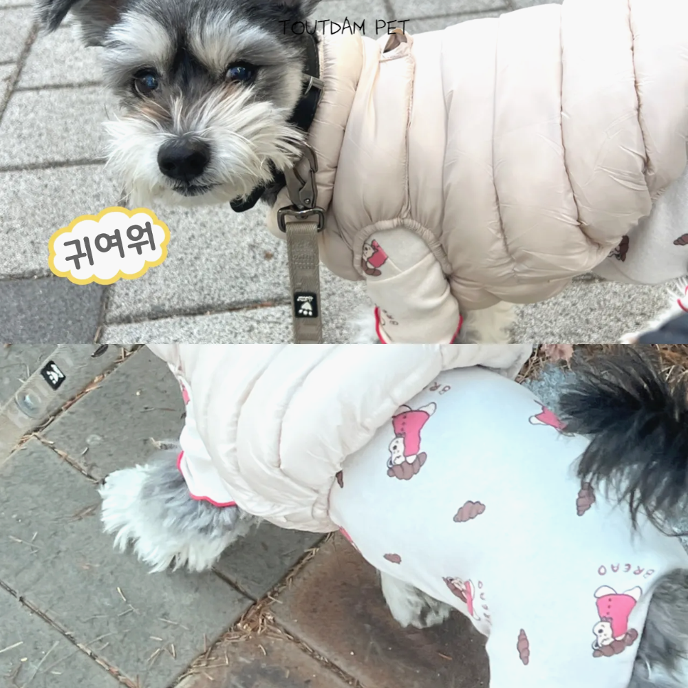 뚜담펫 말티즈패딩 강아지 발열 패딩 방한복 이미지 7