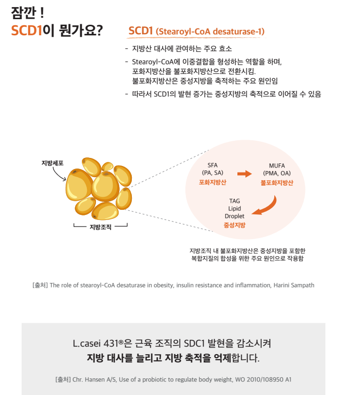체중조절특허 원료 먹는 위고full 식욕억제 포만감다이어트 위고풀 이미지 8