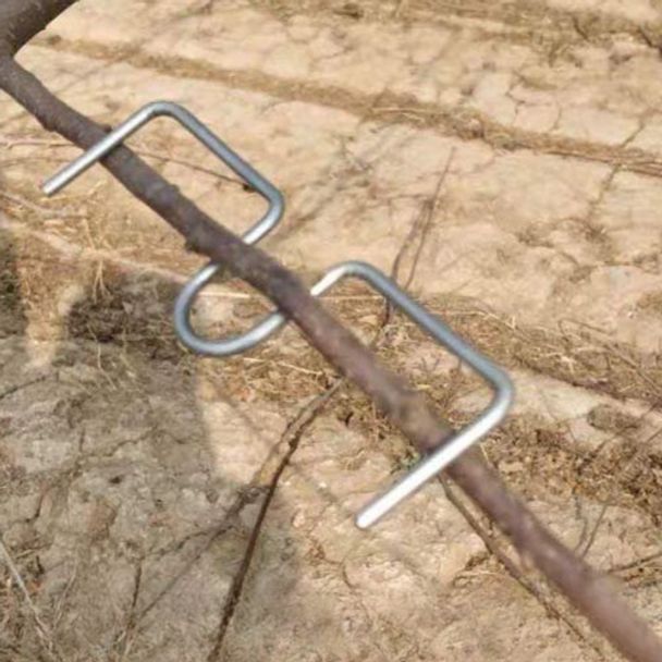 나무가지 고정 클립 고추대 사과 가지 교정 지지대 13cm 1kg 약 18개 - 상품 이미지