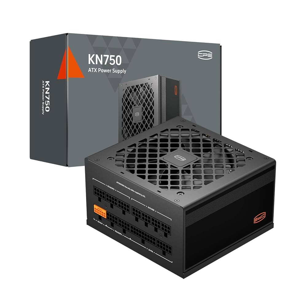 PCCOOLER PSU 완전 모듈형 전원 공급 장치, 750W ATX 3.1, 80 플러스 골드 인증, PCIe 5.1 12V-2 6, 일본 커패시터, 초유연 케이블, 5년 보증( - 상품 이미지