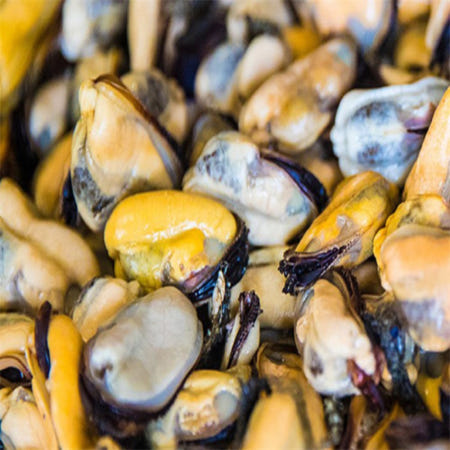 [맛] 남해 깔끔손질 자숙 홍합살 1kg x 5개 짬뽕 깐홍합 사천백짬뽕