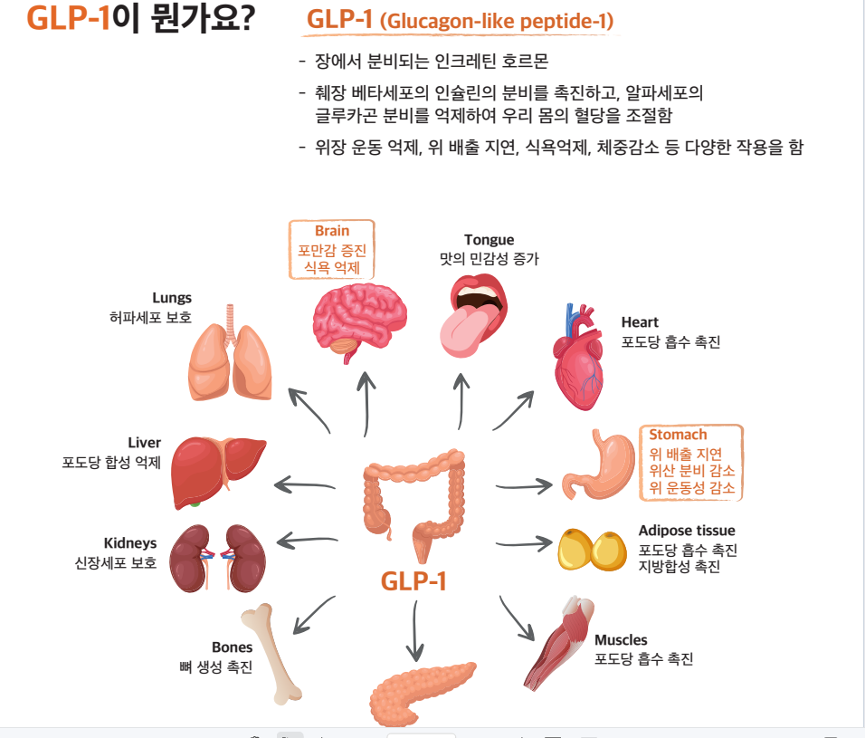 원더러스트 위고풀 식욕억제 포만감 먹는 위고0 필수템 2박스 이미지 8