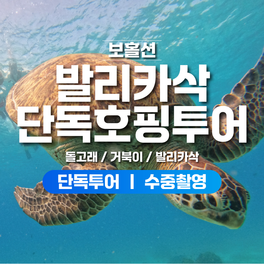 보홀 호핑투어 자유 여행 보홀션 단독호핑 (단독방카, 단독 전담가이드)