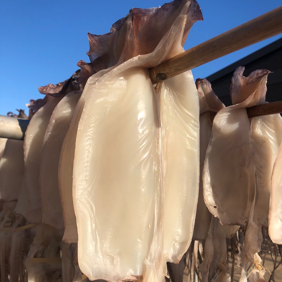 포항 구룡포 반건조 오징어 피데기 5미 850g 해풍건조 - 상품 이미지