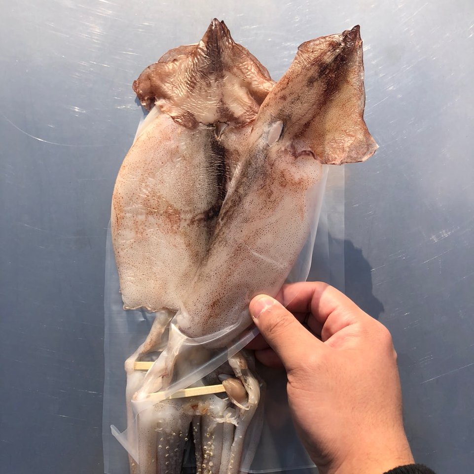 포항 구룡포 반건조 오징어 피데기 5미 850g 해풍건조 - 상세 이미지 4