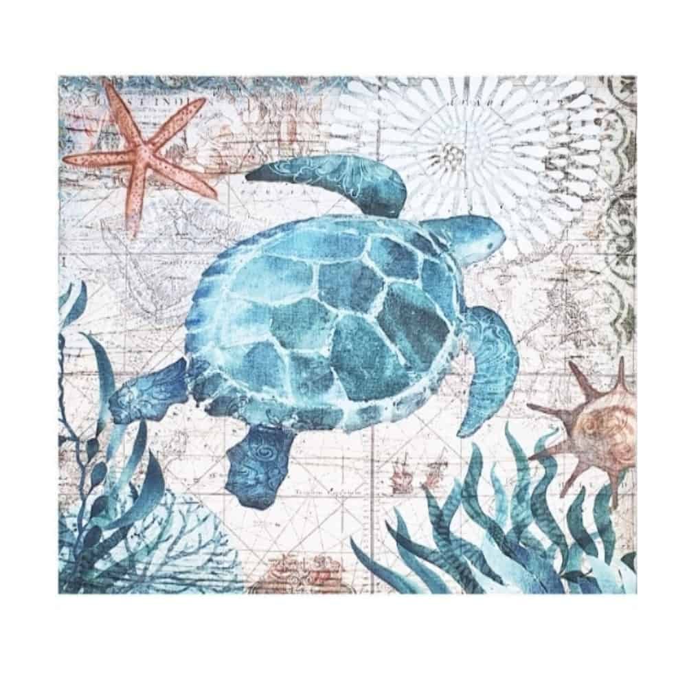 포스터 바다거북 L 거실벽면인테리어 벽면인테리어 두꺼비집가리개