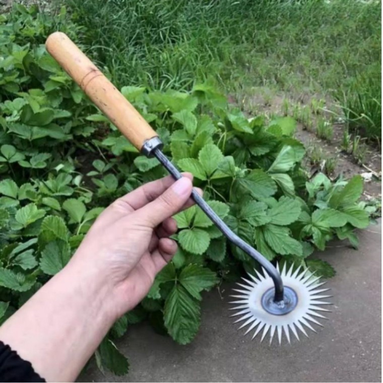 톱니 잡초제거 호미 원예 텃밭 뿌리 제초 농기구 갈퀴 잡초제거 호미 갯벌 나무 뿌리 제초 텃밭 농기구 - 상품 이미지