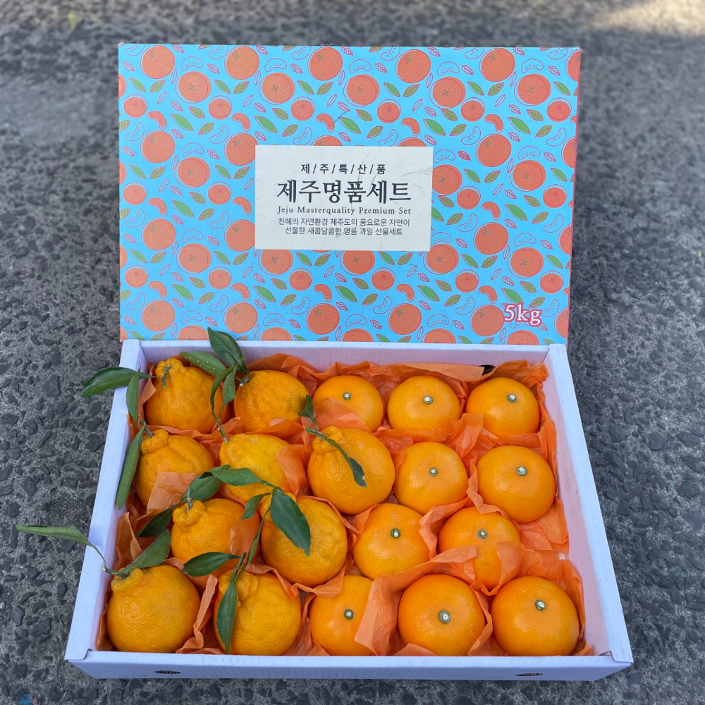 제주 혼합 선물세트 레드향 천혜향 한라봉 가정용레드향 특품 설날 명절 설 산지직송 - 상품 이미지