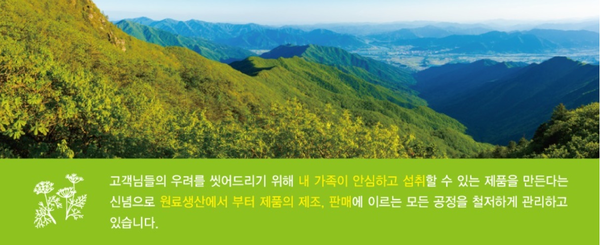 지리산홍화인 도라지청 도라지 150g 1개 - 상세 이미지 5