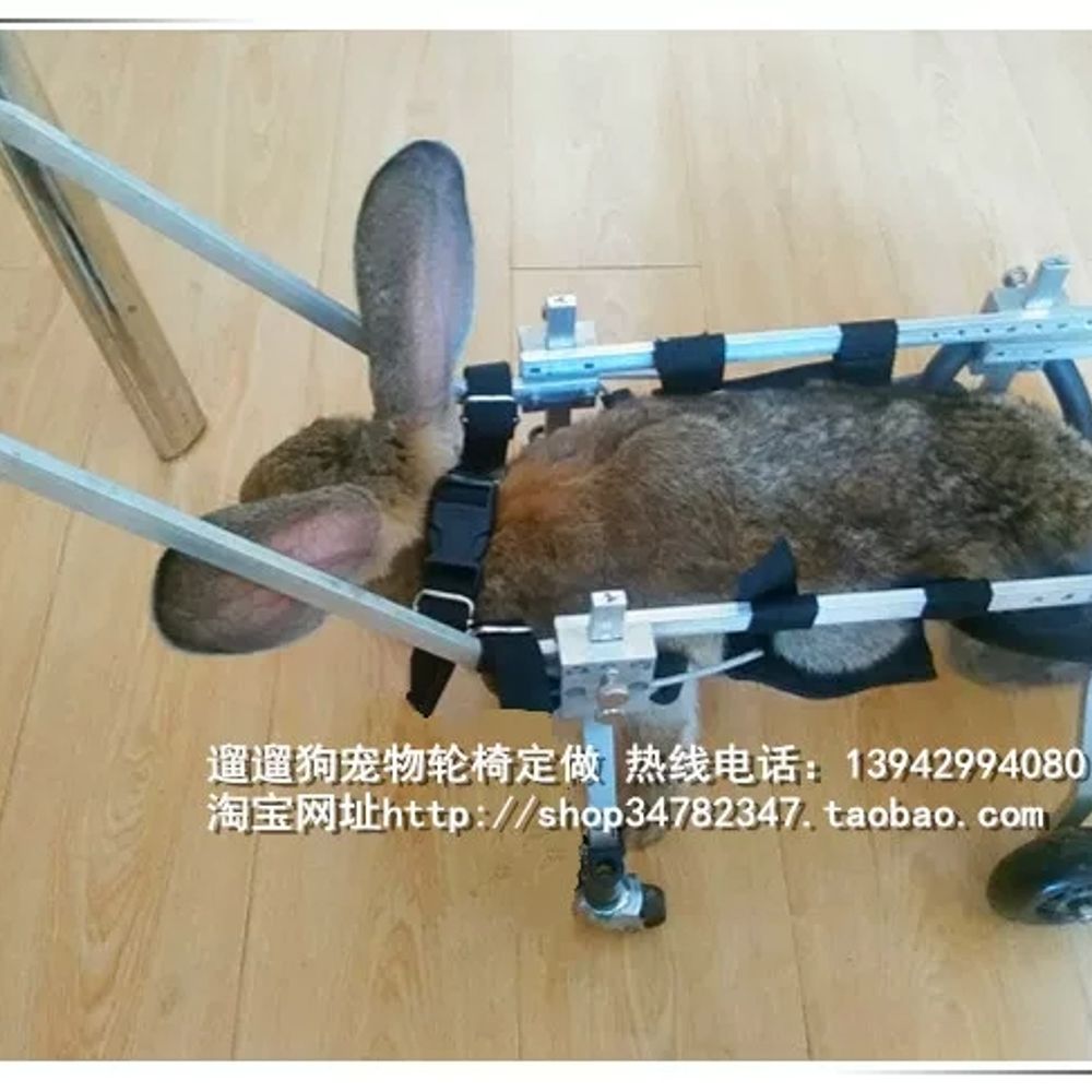 노견휠체어 강아지휠체어 대형견 보조기 마비 반려견 - 상세 이미지 5
