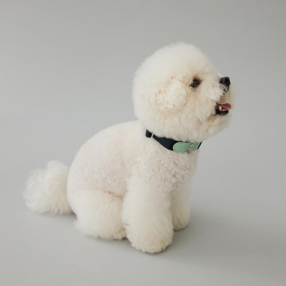 GOPE 픽처 강아지 이태리 가죽 목줄 (2 colors) 원터치 버클형 반려견목줄 - 상세 이미지 4