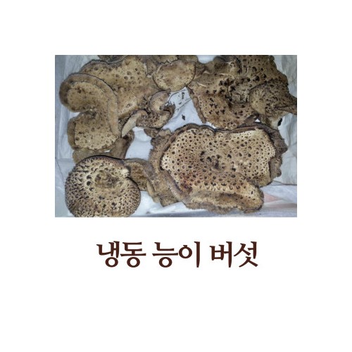건강한 옵션! 100% 국내산 생 능이버섯 1kg - 이창순 자연산 능이버섯 - 상품 이미지