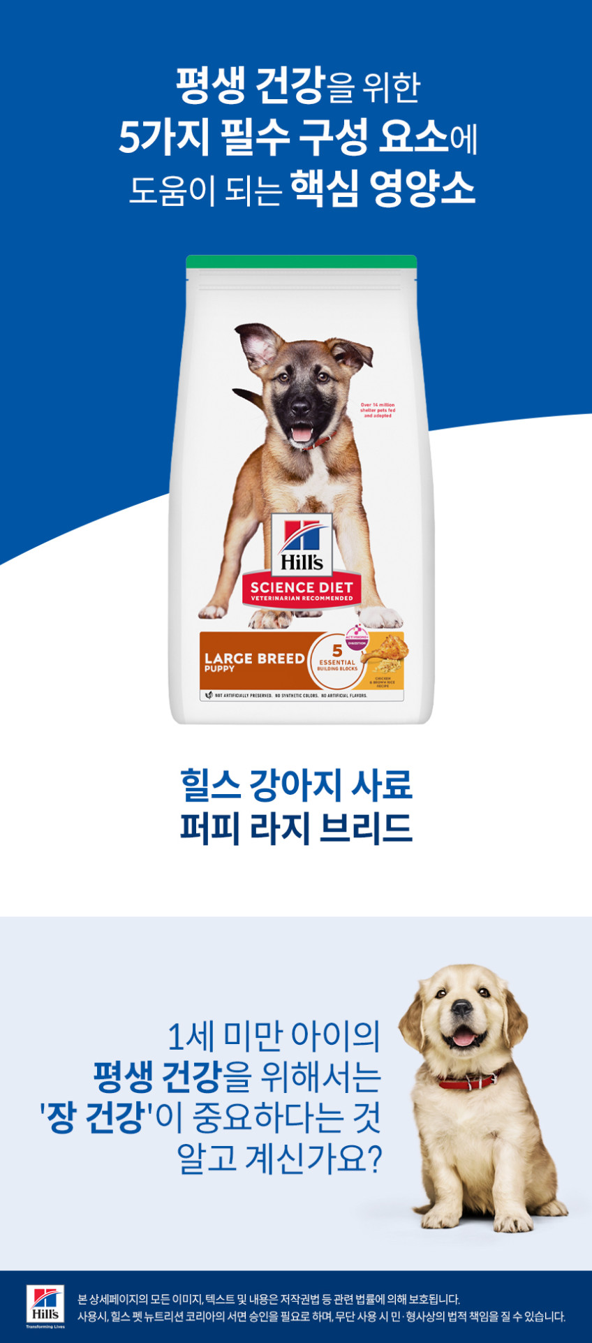 힐스 강아지사료 대형견용 퍼피 라지브리드 15kg 판매처 상세 정보 이미지 4