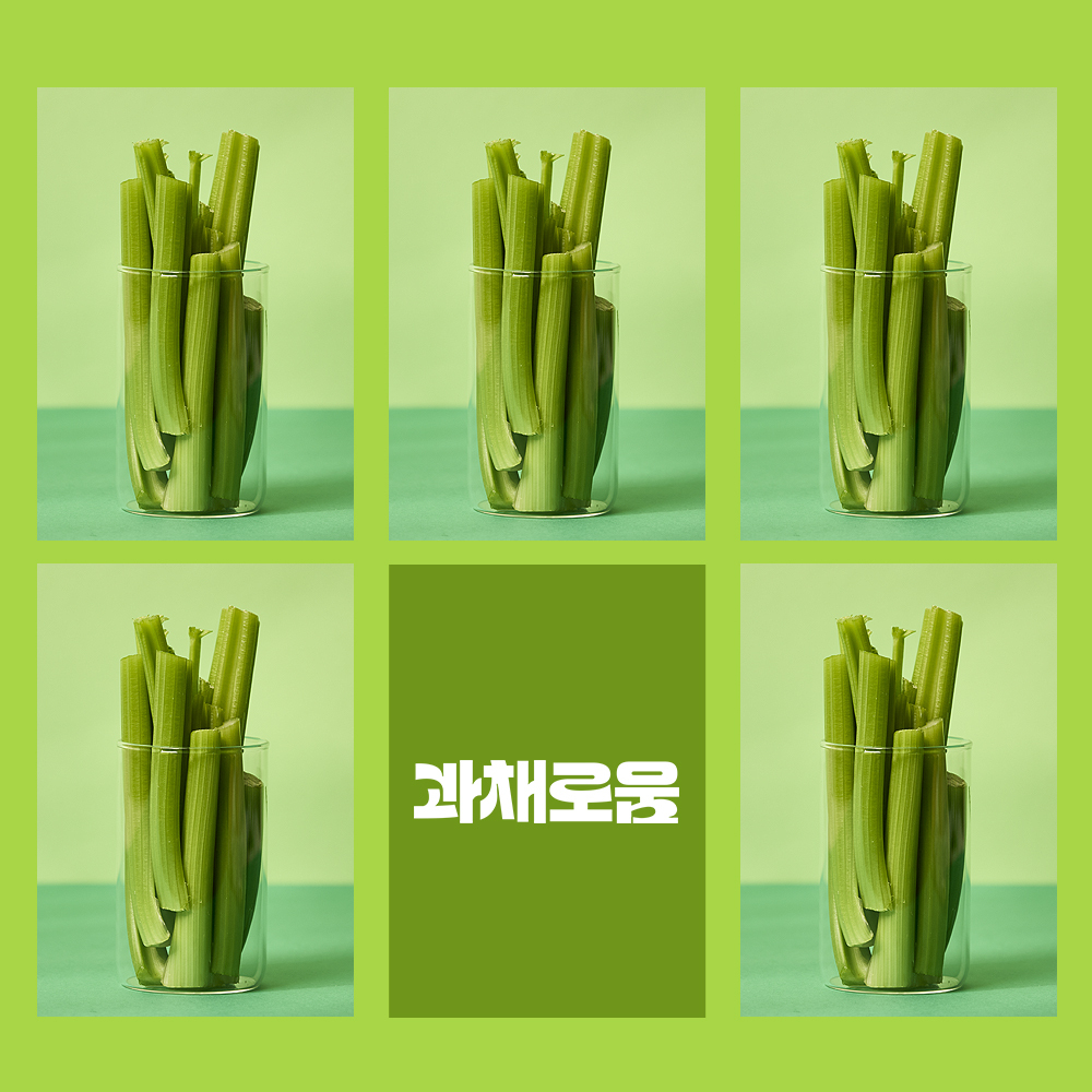 과채로움 국산 셀러리 주스키트 손질 샐러리 착즙 500g, 5개 - 상세 이미지 2
