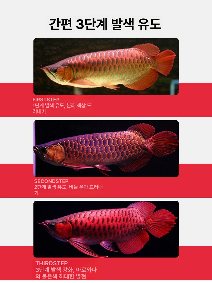 드래곤피쉬 전용 수중 LED 램프 금용 어항 NECA NEC 전문 유인등 30W 98cm A - 상세 이미지 2