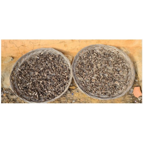 건강한 옵션! 100% 국내산 50g - 이창순 자연산 능이버섯(건조 ) - 상세 이미지 4
