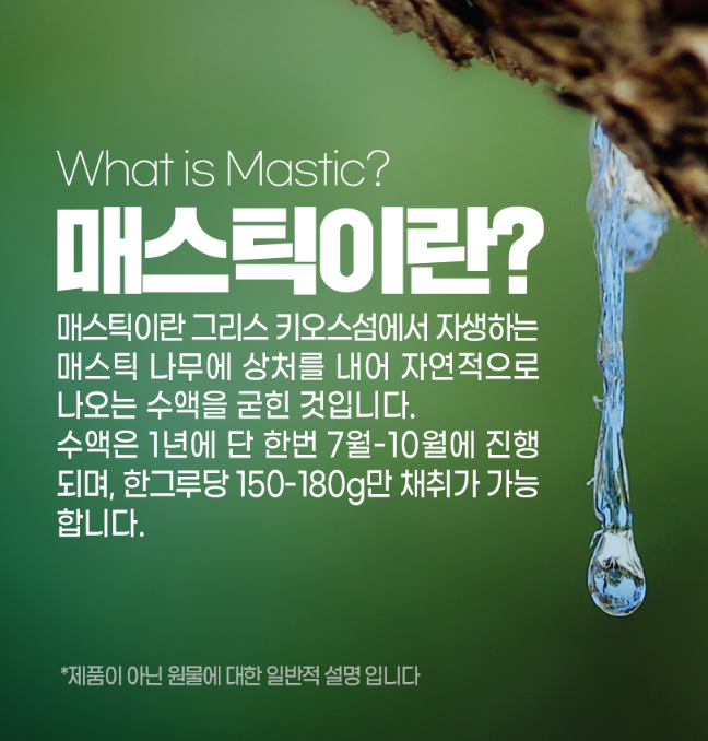 위건강 매스틱검 1+1 속편한 그리스 화이트 정 효능 효과 메스틱껌 마스틱 MASTICGUM - 상세 이미지 3