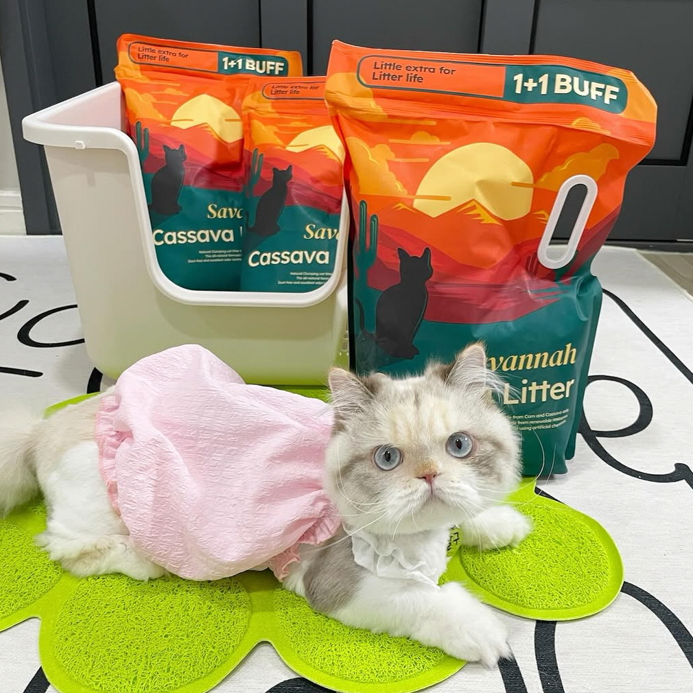 2+1 사바나 프리미엄 카사바 고양이 모래 탈취제 세트 3kg