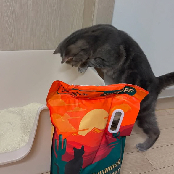 2+1 사바나 프리미엄 카사바 고양이 모래 탈취제 세트 3kg