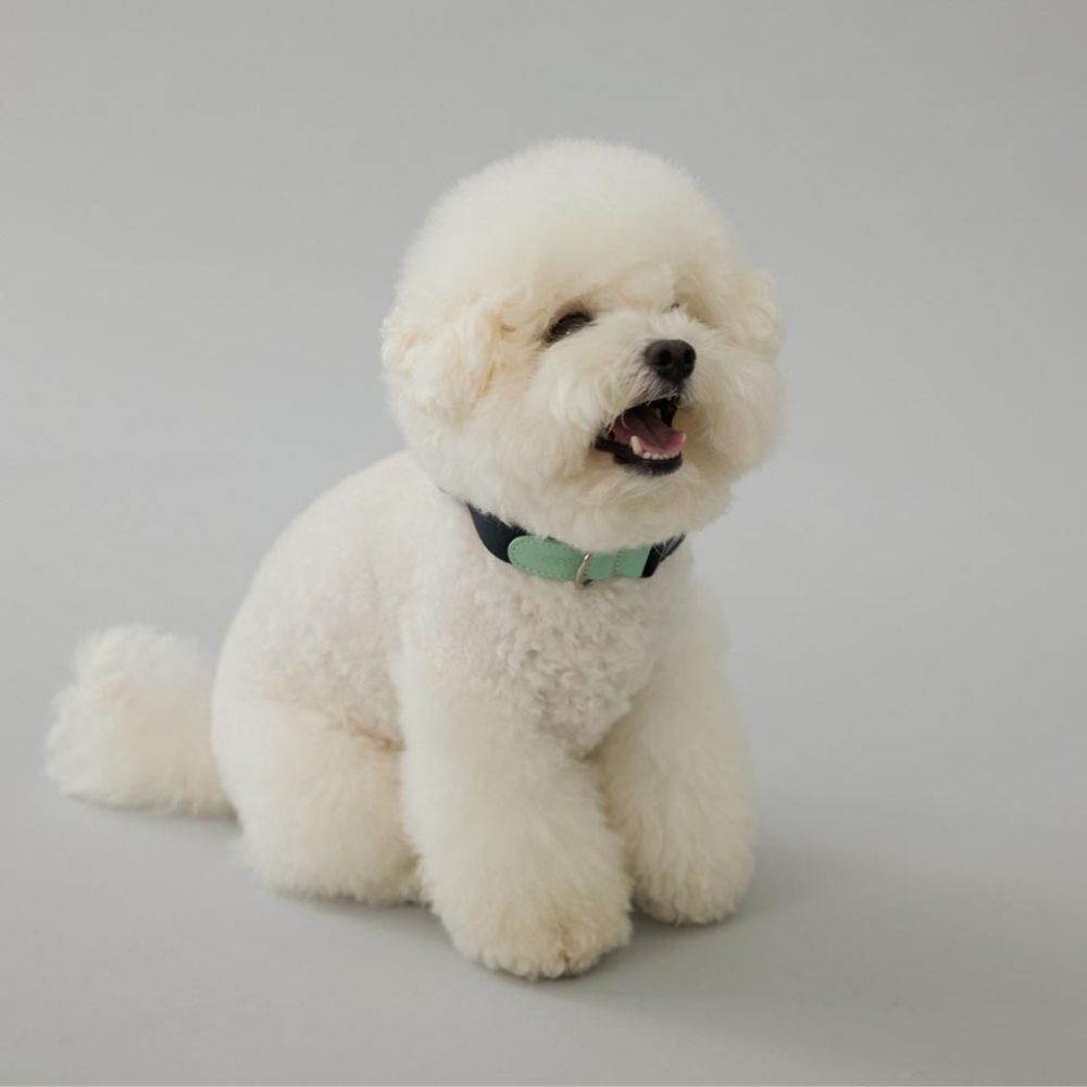 GOPE 픽처 강아지 이태리 가죽 목줄 (2 colors) 원터치 버클형 반려견목줄 - 상세 이미지 2