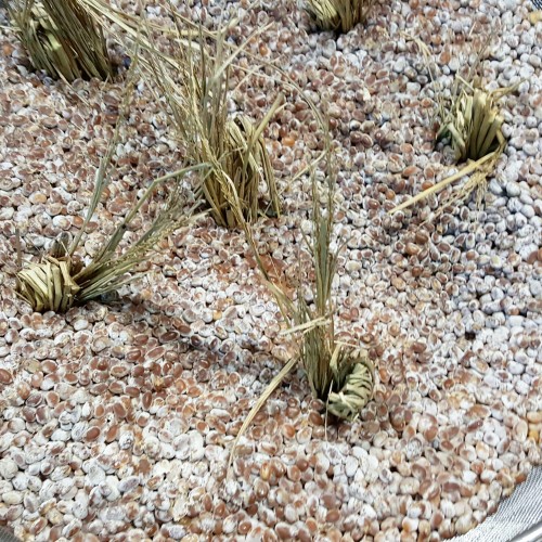 선한유기농청국장(죽염)200g 5개 - 상세 이미지 2