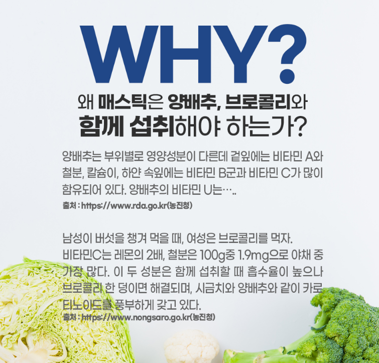 위건강 매스틱검 1+1 속편한 그리스 화이트 정 효능 효과 메스틱껌 마스틱 MASTICGUM 이미지 7
